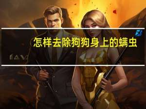 怎样去除狗狗身上的螨虫