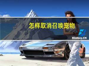 怎样取消召唤宠物