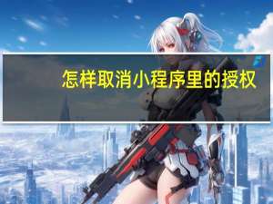 怎样取消小程序里的授权