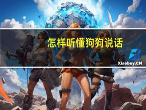 怎样听懂狗狗说话