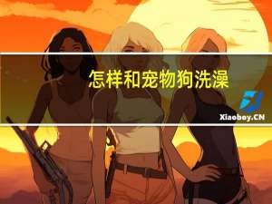 怎样和宠物狗洗澡