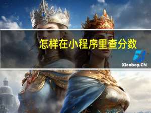 怎样在小程序里查分数