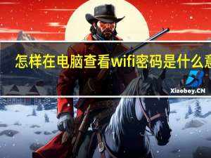 怎样在电脑查看wifi密码是什么意思（怎样在电脑查看wifi密码是什么）