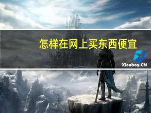 怎样在网上买东西便宜（怎样在网上买东西）