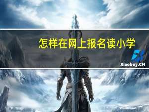 怎样在网上报名读小学