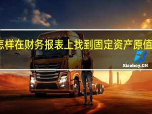 怎样在财务报表上找到固定资产原值和净值