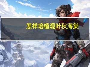 怎样培植观叶秋海棠：湿度要求较高