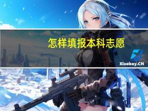 怎样填报本科志愿