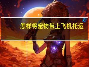 怎样将宠物带上飞机托运