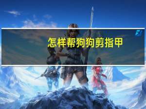 怎样帮狗狗剪指甲