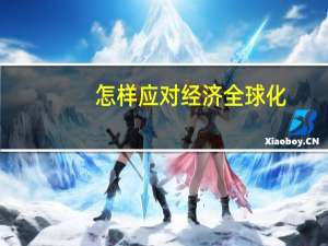 怎样应对经济全球化