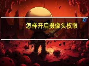 怎样开启摄像头权限