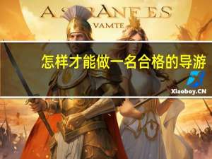 怎样才能做一名合格的导游