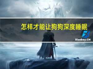 怎样才能让狗狗深度睡眠