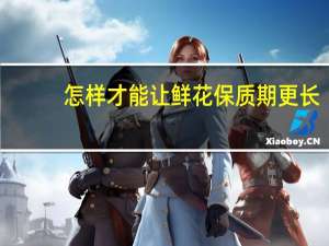 怎样才能让鲜花保质期更长