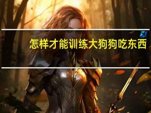 怎样才能训练大狗狗吃东西