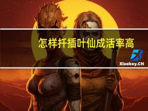 怎样扦插叶仙成活率高