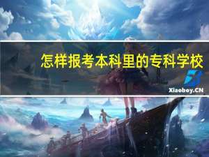 怎样报考本科里的专科学校