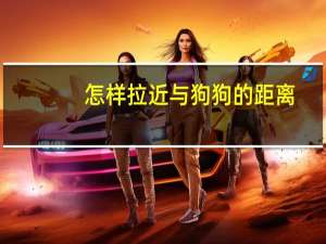 怎样拉近与狗狗的距离
