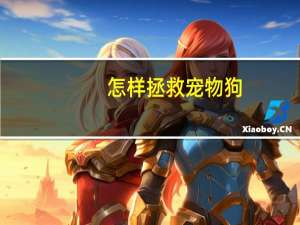 怎样拯救宠物狗