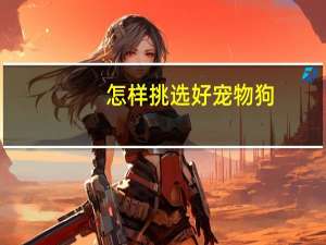 怎样挑选好宠物狗