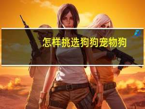 怎样挑选狗狗宠物狗