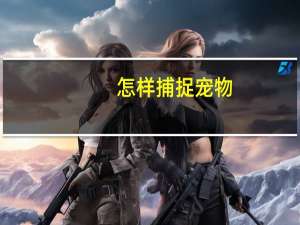 怎样捕捉宠物