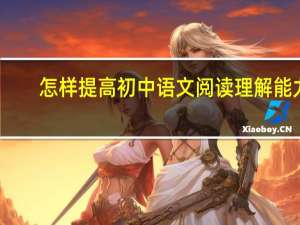 怎样提高初中语文阅读理解能力