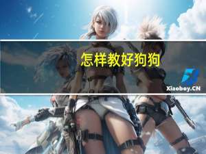 怎样教好狗狗