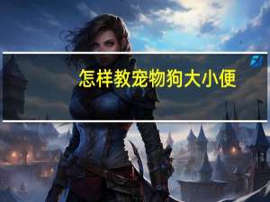 怎样教宠物狗大小便