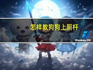 怎样教狗狗上厕杆