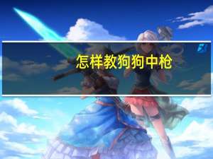怎样教狗狗中枪