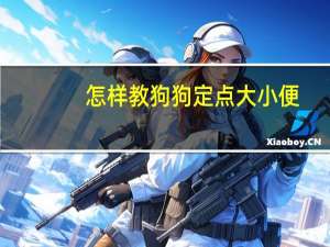 怎样教狗狗定点大小便