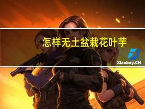 怎样无土盆栽花叶芋