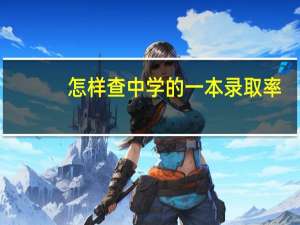 怎样查中学的一本录取率