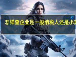 怎样查企业是一般纳税人还是小规模（怎么查询企业是一般纳税人还是小规模）