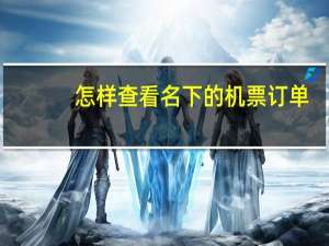 怎样查看名下的机票订单
