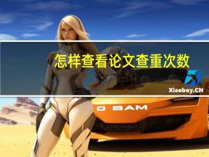 怎样查看论文查重次数