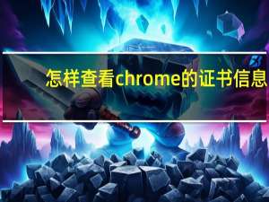 怎样查看chrome的证书信息