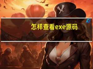 怎样查看exe源码