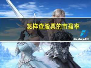 怎样查股票的市盈率
