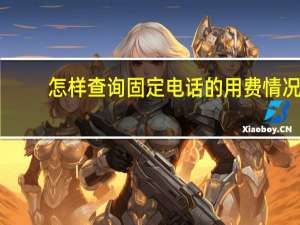 怎样查询固定电话的用费情况