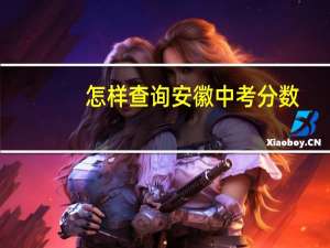 怎样查询安徽中考分数