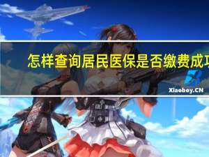 怎样查询居民医保是否缴费成功