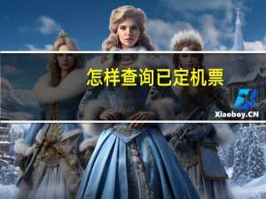怎样查询已定机票