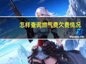 怎样查询燃气费欠费情况