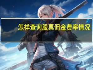 怎样查询股票佣金费率情况
