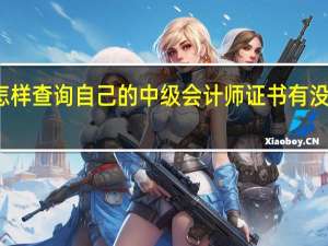 怎样查询自己的中级会计师证书有没有过期