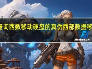 怎样查询西数移动硬盘的真伪 西部数据移动硬盘真伪