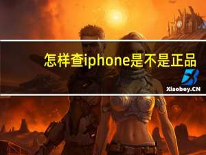 怎样查iphone是不是正品（怎样查ip）